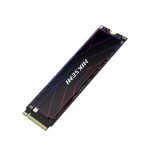 HIKSEMI Future Lite 1TB Gen4 M.2 NVMe 3D NAND SSD