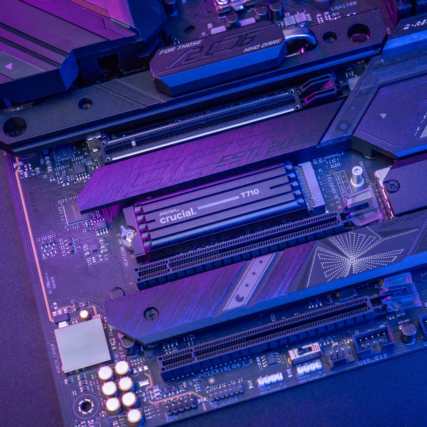 XpressTech_Crucial-T710-4TB-M.2-NVMe-Gen5-NAND-SSD-with-Heatsink_CT4000T710SSD5-5