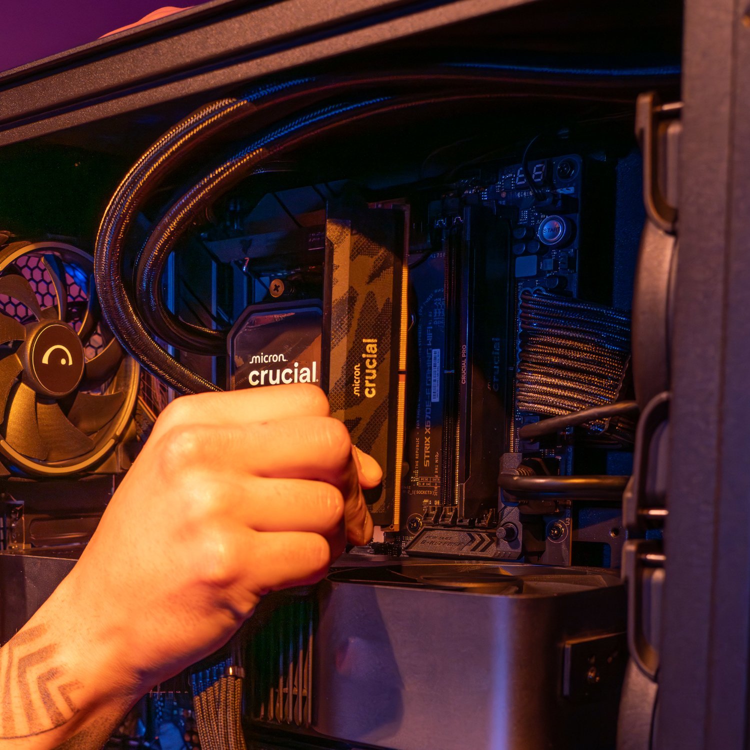 XpressTech_Crucial-Pro-16GB-6400Mhz-DDR5-Desktop-OC-Gaming-Memory-Black_CP16G64C32U5B-3