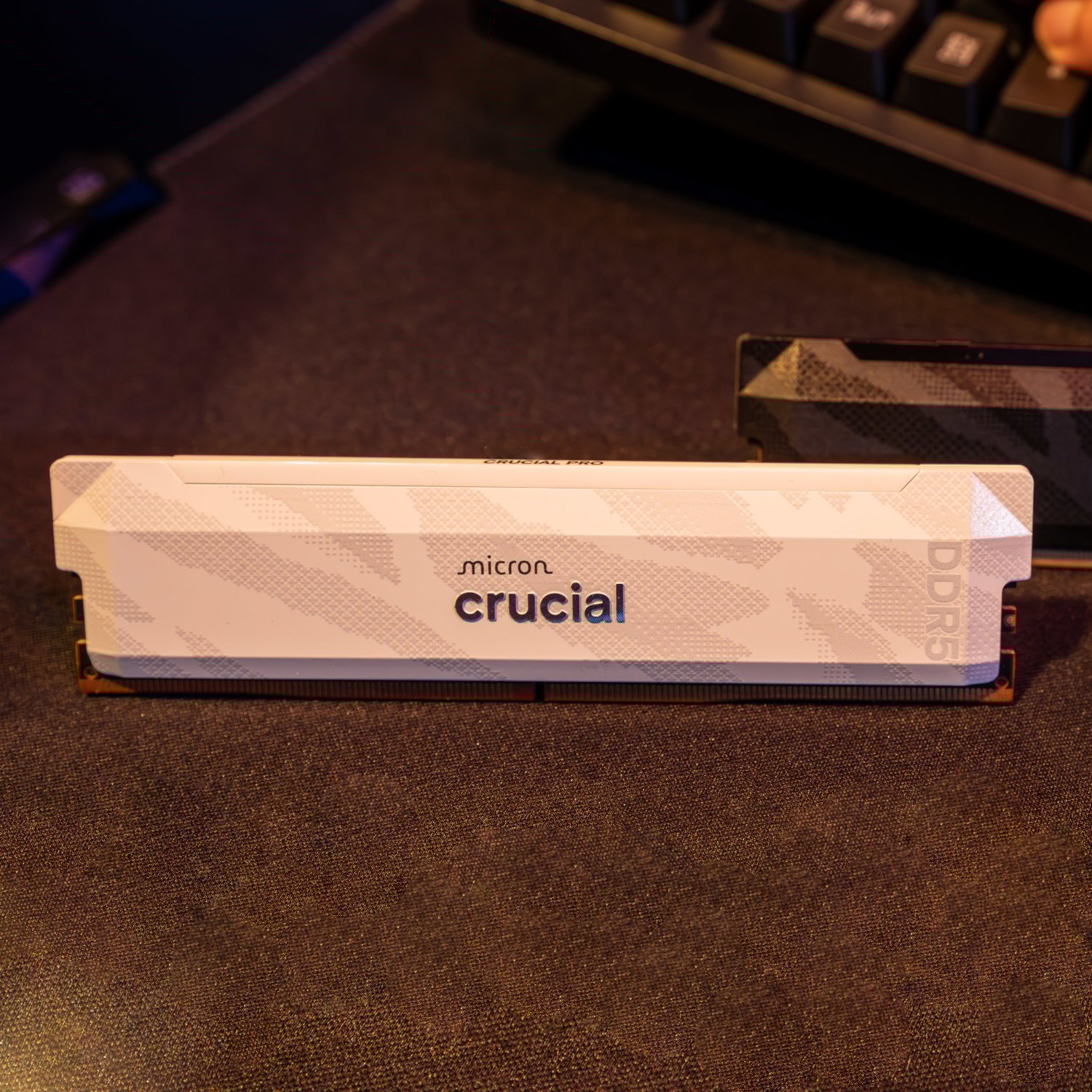 XpressTech_Crucial-Pro-16GB-6400Mhz-DDR5-Desktop-OC-Gaming-Memory-White_CP16G64C32U5W-4