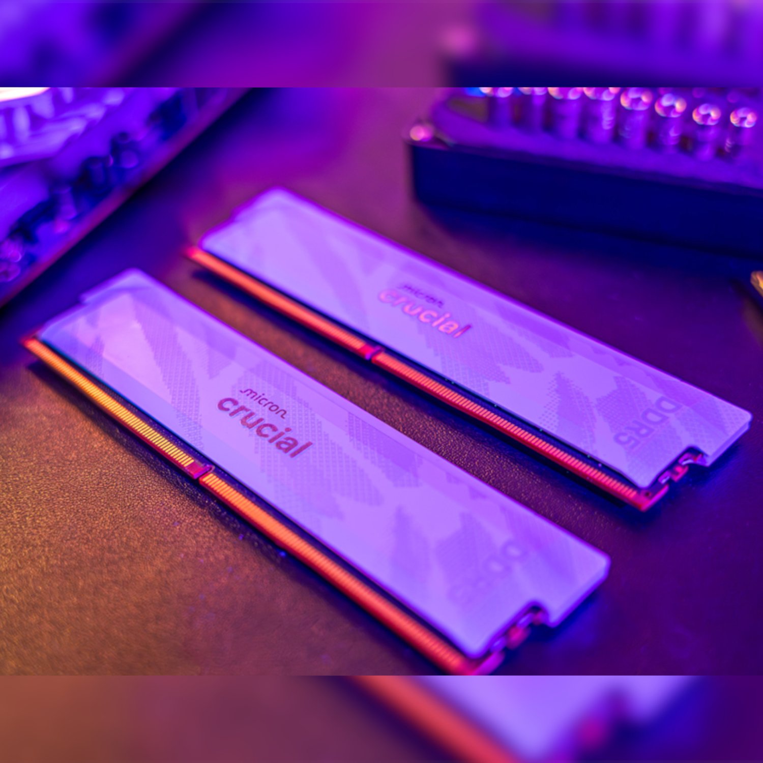 XpressTech_Crucial-Pro-Overclocking-DDR5-6400-32GB-Desktop-Gaming-Memory-Kit-16GB-x-2-x2013-White_CP2K16G64C32U5W-3